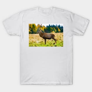 Majestic deer wall art photography T-Shirt